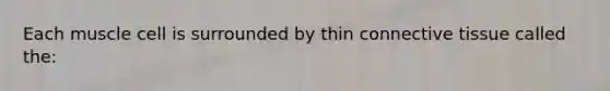 Each muscle cell is surrounded by thin connective tissue called the: