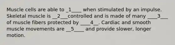 Muscle cells are able to _1____ when stimulated by an impulse. Skeletal muscle is __2___controlled and is made of many ____3___ of muscle fibers protected by ____4__. Cardiac and smooth muscle movements are __5____ and provide slower, longer motion.