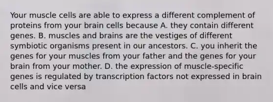 Your muscle cells are able to express a different complement of proteins from your brain cells because A. they contain different genes. B. muscles and brains are the vestiges of different symbiotic organisms present in our ancestors. C. you inherit the genes for your muscles from your father and the genes for your brain from your mother. D. the expression of muscle-specific genes is regulated by transcription factors not expressed in brain cells and vice versa