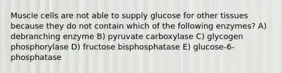 Muscle cells are not able to supply glucose for other tissues because they do not contain which of the following enzymes? A) debranching enzyme B) pyruvate carboxylase C) glycogen phosphorylase D) fructose bisphosphatase E) glucose-6-phosphatase