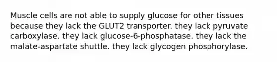 Muscle cells are not able to supply glucose for other tissues because they lack the GLUT2 transporter. they lack pyruvate carboxylase. they lack glucose-6-phosphatase. they lack the malate-aspartate shuttle. they lack glycogen phosphorylase.