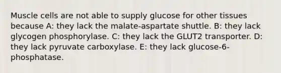 Muscle cells are not able to supply glucose for other tissues because A: they lack the malate-aspartate shuttle. B: they lack glycogen phosphorylase. C: they lack the GLUT2 transporter. D: they lack pyruvate carboxylase. E: they lack glucose-6-phosphatase.