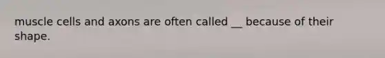 muscle cells and axons are often called __ because of their shape.