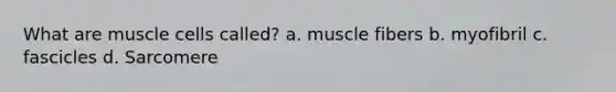 What are muscle cells called? a. muscle fibers b. myofibril c. fascicles d. Sarcomere