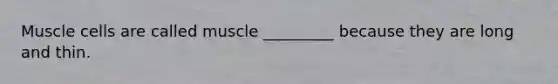 Muscle cells are called muscle _________ because they are long and thin.