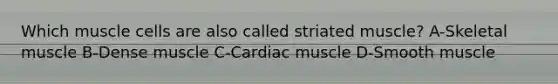 Which muscle cells are also called striated muscle? A-Skeletal muscle B-Dense muscle C-Cardiac muscle D-Smooth muscle