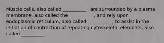 Muscle cells, also called __________ , are surrounded by a plasma membrane, also called the __________ , and rely upon endoplasmic reticulum, also called __________ , to assist in the initiation of contraction of repeating cytoskeletal elements, also called __________ .