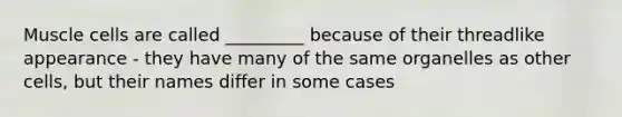 Muscle cells are called _________ because of their threadlike appearance - they have many of the same organelles as other cells, but their names differ in some cases