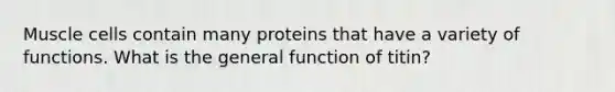 Muscle cells contain many proteins that have a variety of functions. What is the general function of titin?