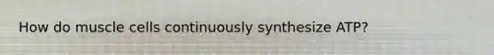 How do muscle cells continuously synthesize ATP?