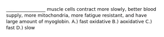 _________________ muscle cells contract more slowly, better blood supply, more mitochondria, more fatigue resistant, and have large amount of myoglobin. A.) fast oxidative B.) aoxidative C.) fast D.) slow