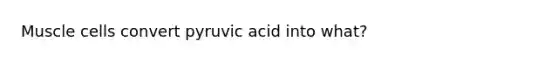 Muscle cells convert pyruvic acid into what?