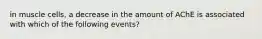 in muscle cells, a decrease in the amount of AChE is associated with which of the following events?