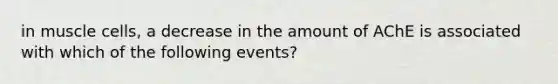 in muscle cells, a decrease in the amount of AChE is associated with which of the following events?