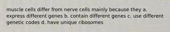 muscle cells differ from nerve cells mainly because they a. express different genes b. contain different genes c. use different genetic codes d. have unique ribosomes