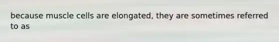 because muscle cells are elongated, they are sometimes referred to as