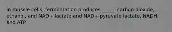 In muscle cells, fermentation produces _____. carbon dioxide, ethanol, and NAD+ lactate and NAD+ pyruvate lactate, NADH, and ATP