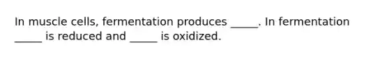 In muscle cells, fermentation produces _____. In fermentation _____ is reduced and _____ is oxidized.