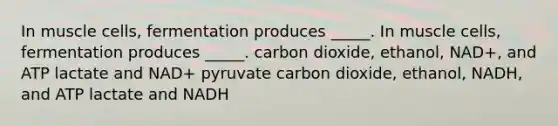 In muscle cells, fermentation produces _____. In muscle cells, fermentation produces _____. carbon dioxide, ethanol, NAD+, and ATP lactate and NAD+ pyruvate carbon dioxide, ethanol, NADH, and ATP lactate and NADH