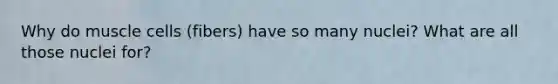 Why do muscle cells (fibers) have so many nuclei? What are all those nuclei for?