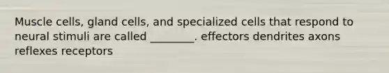 Muscle cells, gland cells, and specialized cells that respond to neural stimuli are called ________. effectors dendrites axons reflexes receptors