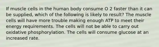 If muscle cells in the human body consume O 2 faster than it can be supplied, which of the following is likely to result? The muscle cells will have more trouble making enough ATP to meet their energy requirements. The cells will not be able to carry out oxidative phosphorylation. The cells will consume glucose at an increased rate.