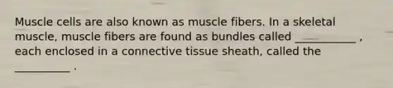 Muscle cells are also known as muscle fibers. In a skeletal muscle, muscle fibers are found as bundles called ___________ , each enclosed in a connective tissue sheath, called the __________ .