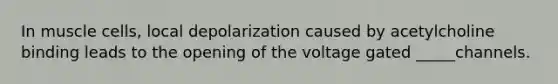 In muscle cells, local depolarization caused by acetylcholine binding leads to the opening of the voltage gated _____channels.