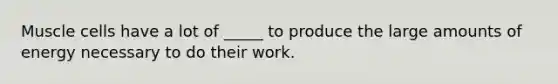 Muscle cells have a lot of _____ to produce the large amounts of energy necessary to do their work.