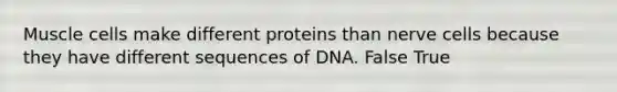 Muscle cells make different proteins than nerve cells because they have different sequences of DNA. False True