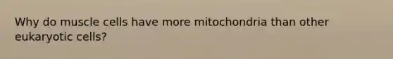 Why do muscle cells have more mitochondria than other eukaryotic cells?