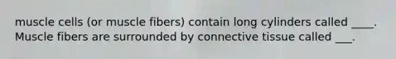 muscle cells (or muscle fibers) contain long cylinders called ____. Muscle fibers are surrounded by connective tissue called ___.