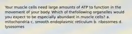 Your muscle cells need large amounts of ATP to function in the movement of your body. Which of thefollowing organelles would you expect to be especially abundant in muscle cells? a. mitochondria c. smooth endoplasmic reticulum b. ribosomes d. lysosomes