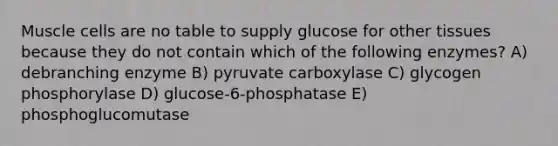 Muscle cells are no table to supply glucose for other tissues because they do not contain which of the following enzymes? A) debranching enzyme B) pyruvate carboxylase C) glycogen phosphorylase D) glucose-6-phosphatase E) phosphoglucomutase