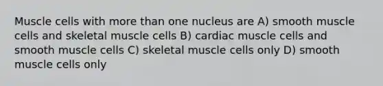 Muscle cells with more than one nucleus are A) smooth muscle cells and skeletal muscle cells B) cardiac muscle cells and smooth muscle cells C) skeletal muscle cells only D) smooth muscle cells only