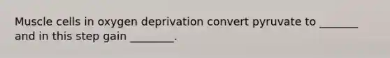 Muscle cells in oxygen deprivation convert pyruvate to _______ and in this step gain ________.
