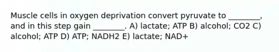 Muscle cells in oxygen deprivation convert pyruvate to ________, and in this step gain ________. A) lactate; ATP B) alcohol; CO2 C) alcohol; ATP D) ATP; NADH2 E) lactate; NAD+