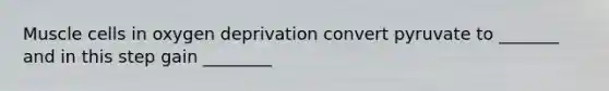 Muscle cells in oxygen deprivation convert pyruvate to _______ and in this step gain ________