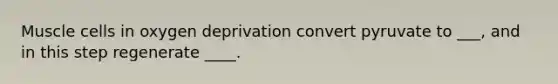 Muscle cells in oxygen deprivation convert pyruvate to ___, and in this step regenerate ____.