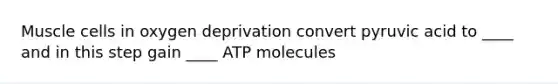 Muscle cells in oxygen deprivation convert pyruvic acid to ____ and in this step gain ____ ATP molecules