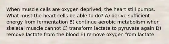 When muscle cells are oxygen deprived, the heart still pumps. What must the heart cells be able to do? A) derive sufficient energy from fermentation B) continue aerobic metabolism when skeletal muscle cannot C) transform lactate to pyruvate again D) remove lactate from the blood E) remove oxygen from lactate