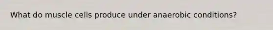 What do muscle cells produce under anaerobic conditions?