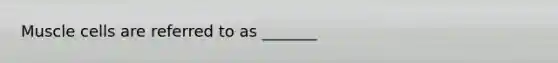 Muscle cells are referred to as _______