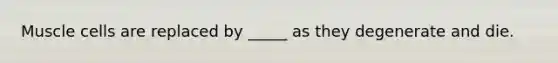 Muscle cells are replaced by _____ as they degenerate and die.