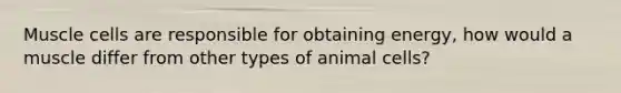 Muscle cells are responsible for obtaining energy, how would a muscle differ from other types of animal cells?