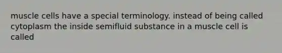 muscle cells have a special terminology. instead of being called cytoplasm the inside semifluid substance in a muscle cell is called