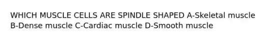 WHICH MUSCLE CELLS ARE SPINDLE SHAPED A-Skeletal muscle B-Dense muscle C-Cardiac muscle D-Smooth muscle