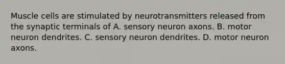 Muscle cells are stimulated by neurotransmitters released from the synaptic terminals of A. sensory neuron axons. B. motor neuron dendrites. C. sensory neuron dendrites. D. motor neuron axons.