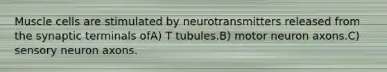 Muscle cells are stimulated by neurotransmitters released from the synaptic terminals ofA) T tubules.B) motor neuron axons.C) sensory neuron axons.