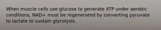 When muscle cells use glucose to generate ATP under aerobic conditions, NAD+ must be regenerated by converting pyruvate to lactate to sustain glycolysis.